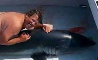 Illustration for article titled Jim McElwain Says That's Not Him Nude And Humping A Shark